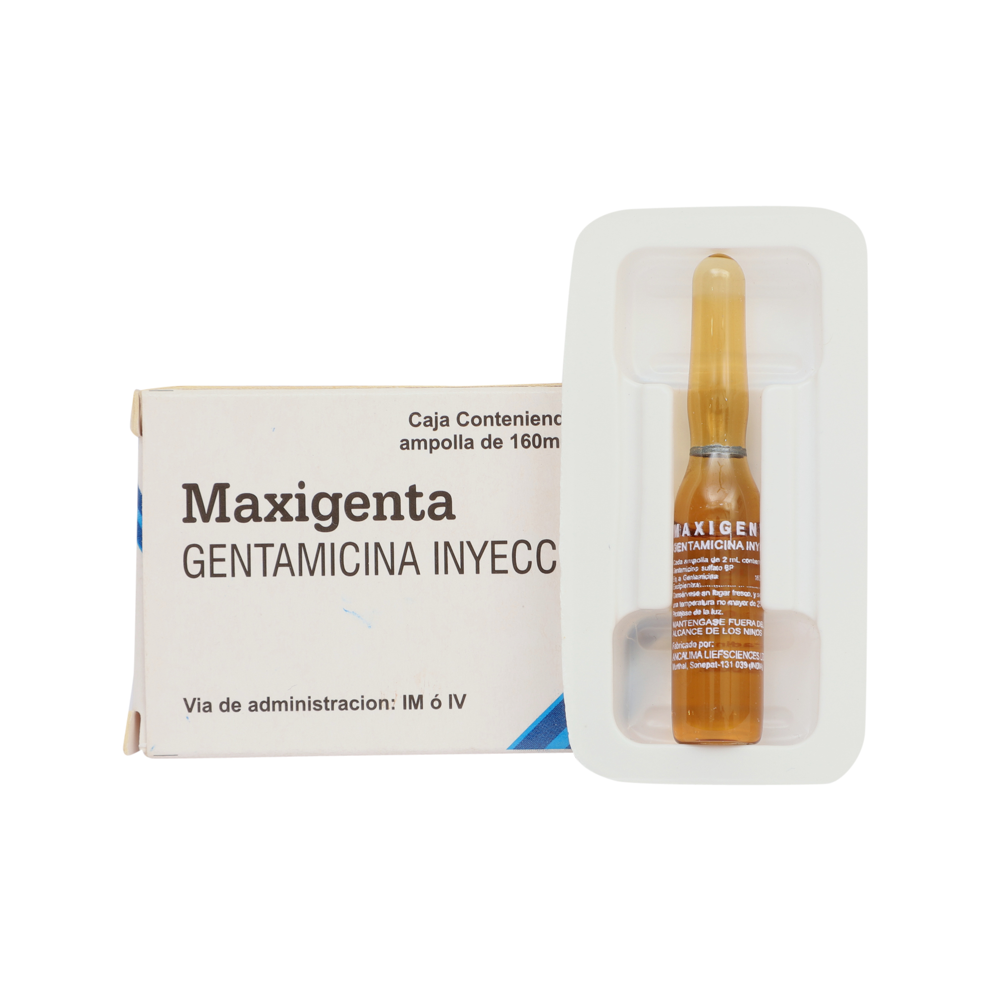 Maxigenta gallery image